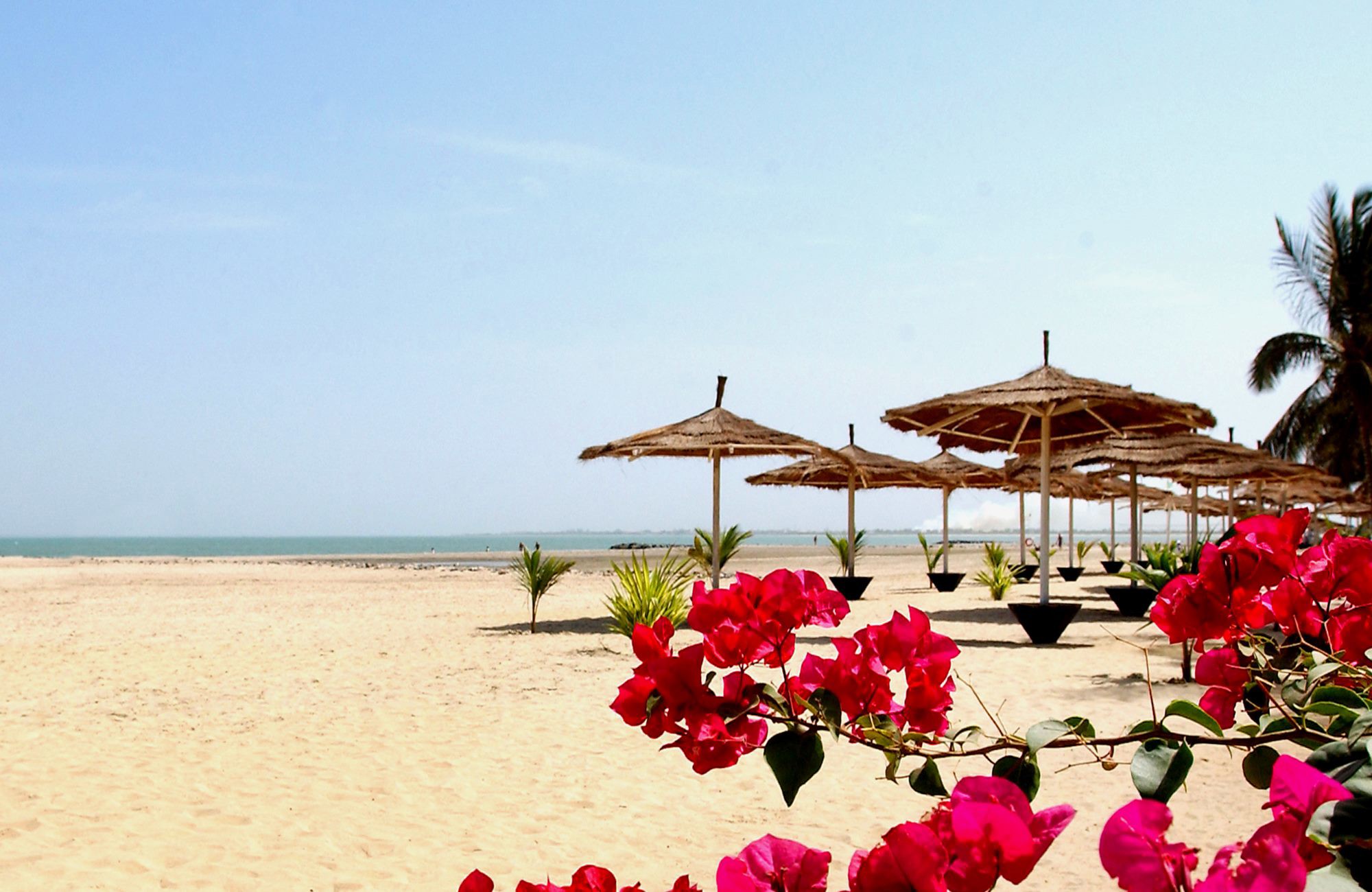 Kololi Holidays 2019 & 2020 Olympic Holidays