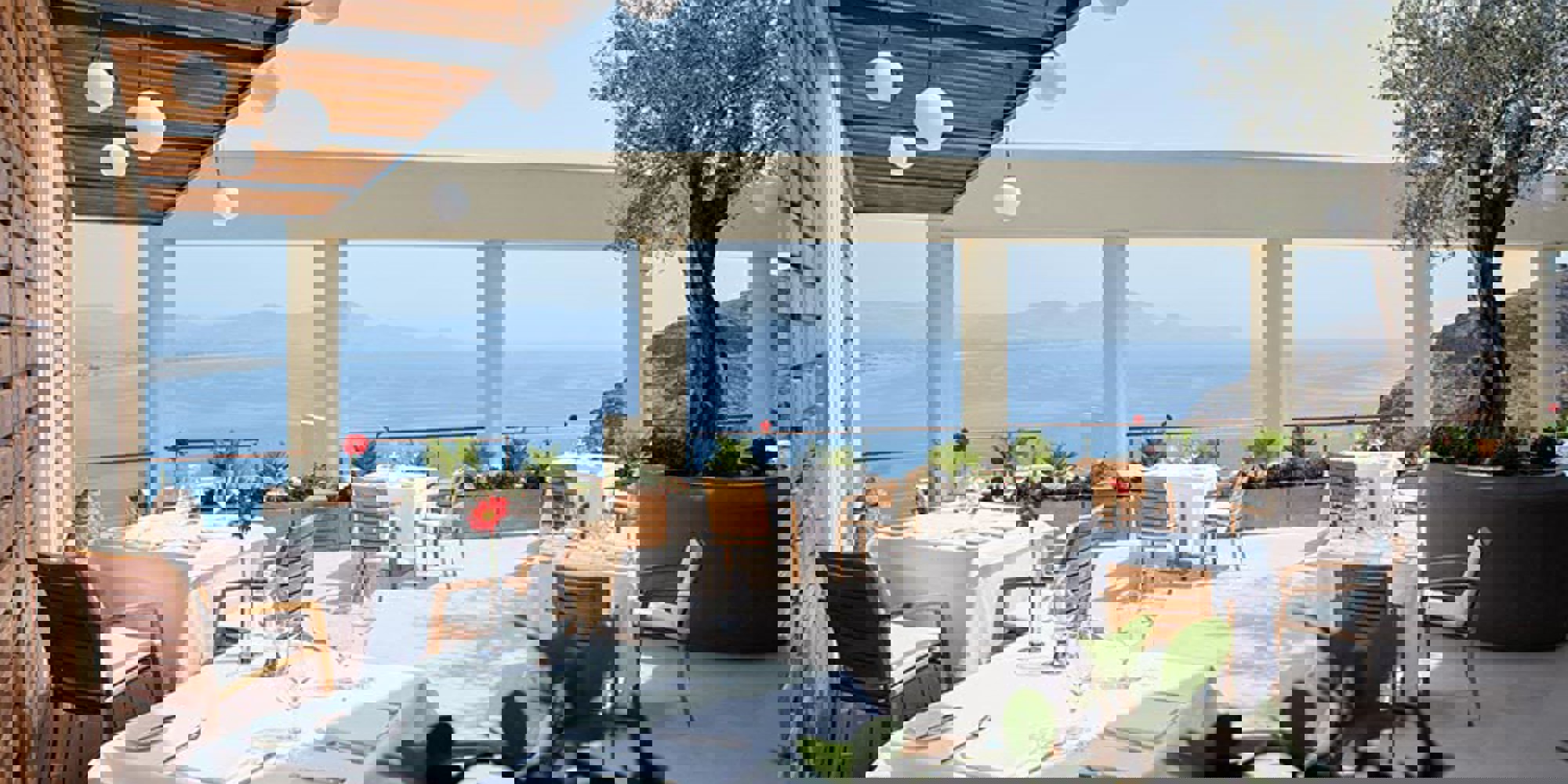 Outstanding olive oil from Greece Olympic Holidays